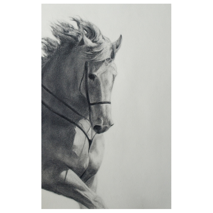 Caballo Caballo