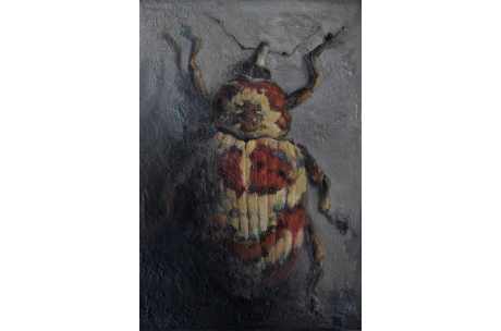 escarabajo "Gorgojo Cratosomus" óleo