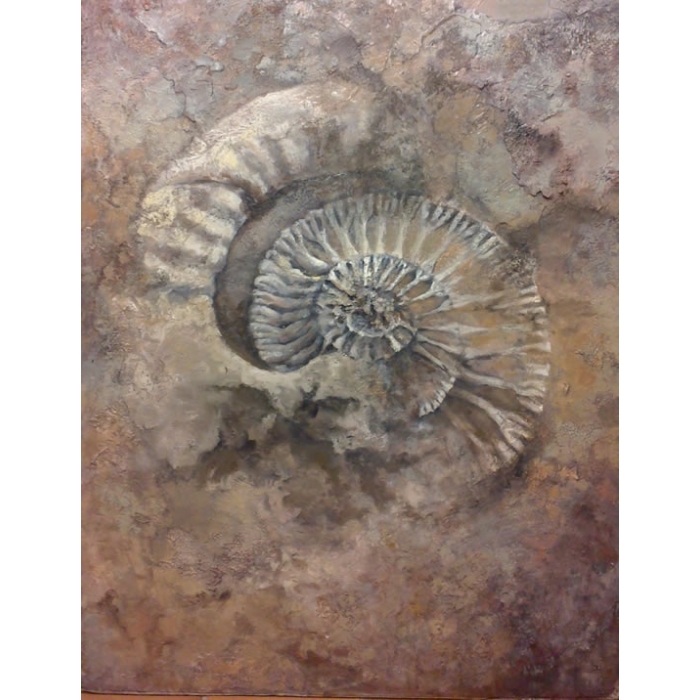 Fósil de Ammonite