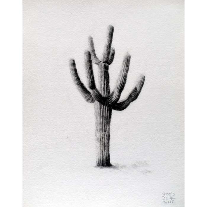 Cactus cardón gigante Cactus cardón gigante