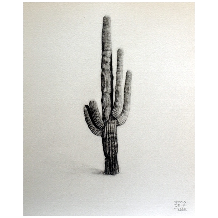 Cactus Saguaro